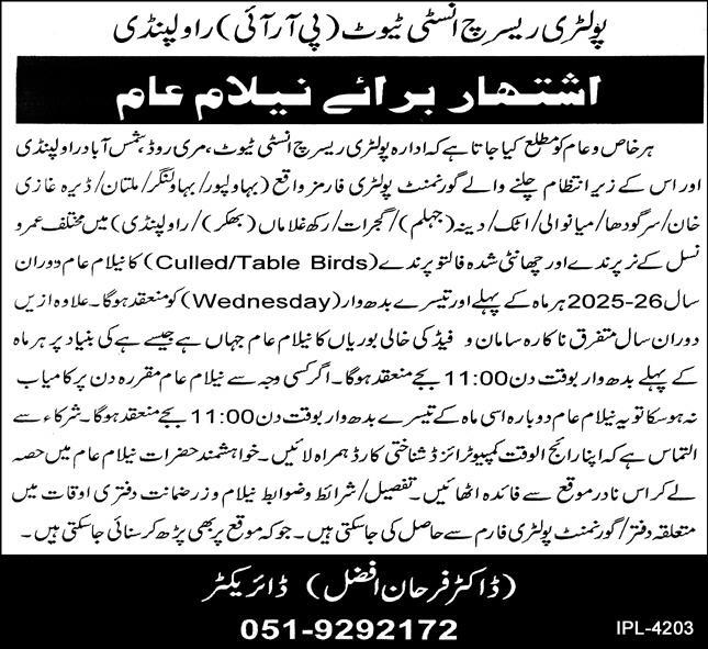 Poultry Research Institute Rawalpindi Tender Notice
